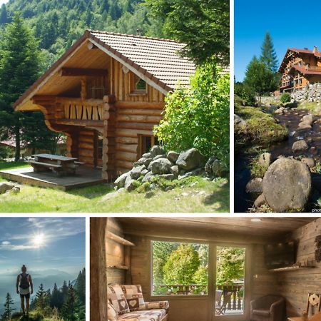 Le Couaroge Chalets Et Appartements La Bresse Exterior foto