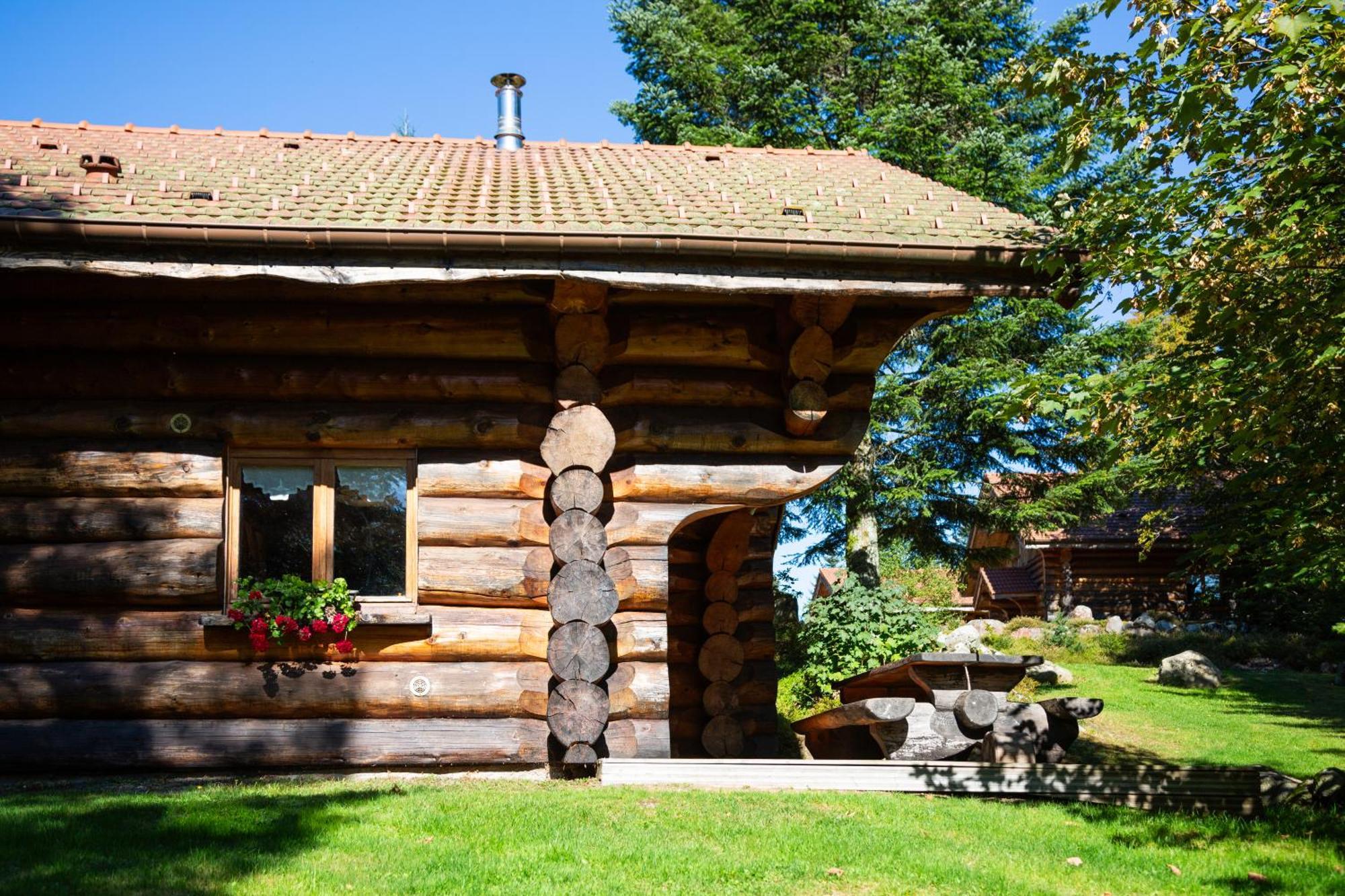 Le Couaroge Chalets Et Appartements La Bresse Exterior foto