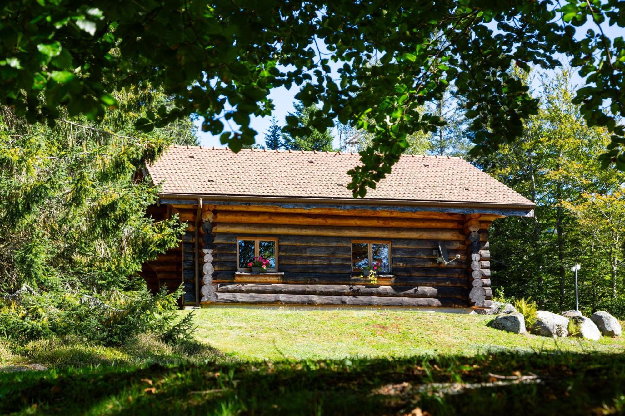 Le Couaroge Chalets Et Appartements La Bresse Exterior foto